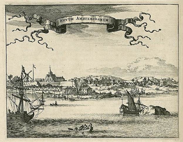 A view of New Amsterdam